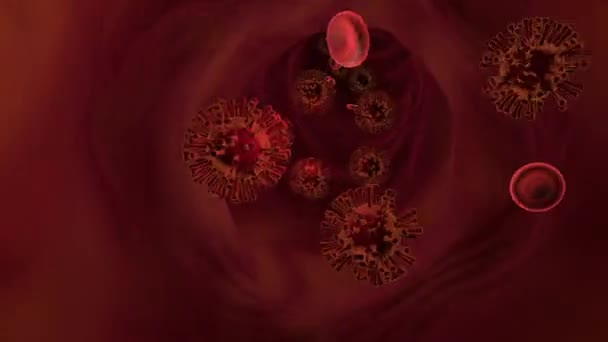 Virus Blood Cells Vein Medical Concept — Wideo stockowe
