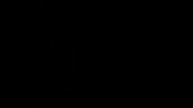 Pulse animation. Heartbeat. Cardiogram on black background.