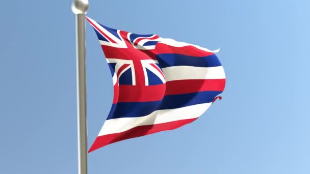 Hawaii Flag Flagpole Flag Fluttering Wind Usa — Stock video