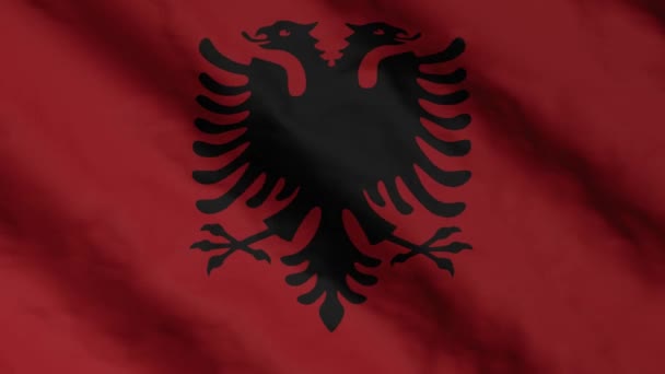 Albanian Flag Waving Wind Albania National Flag Video Footage — Stock Video