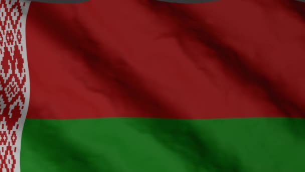 Bandeira Bielorrússia Acenando Vento Bandeira Nacional Bielorrússia Imagens Vídeo — Vídeo de Stock