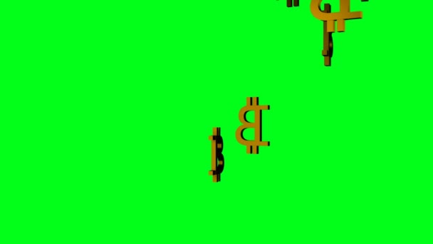 Many Golden Bitcoin Signs Falling Chromakey Background Crypto — 비디오