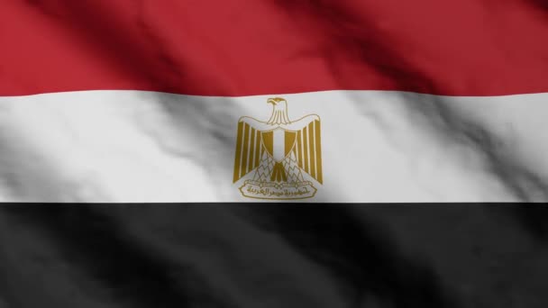 Египетский Флаг Размахивающий Ветром Видеокадры Флагом Египта — стоковое видео