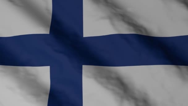 Fin Bayrağı Rüzgarda Dalgalanıyor Finlandiya Ulusal Bayrak Video Görüntüleri — Stok video