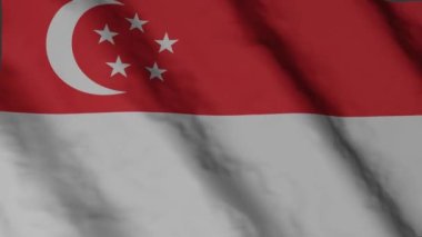 Rüzgarda sallanan Singapur bayrağı. Singapur ulusal bayrak video görüntüleri.