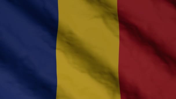 Rüzgarda Dalgalanan Romanya Bayrağı Romanya Ulusal Bandıralı Video Görüntüleri — Stok video