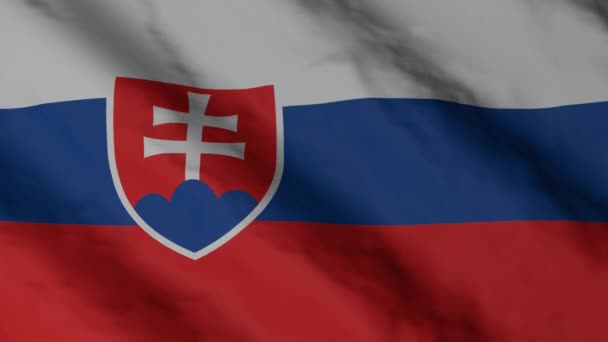 Bendera Slowakia Melambai Dalam Angin Rekaman Video Nasional Slowakia — Stok Video