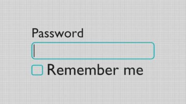 Entering password on computer. Parole. Internet security concept.
