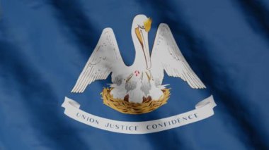 Louisiana eyalet bayrağı rüzgarda sallanıyor. Video görüntüleri.
