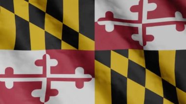 Maryland eyalet bayrağı rüzgarda sallanıyor. Video görüntüleri.