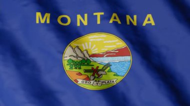 Montana eyaletinin bayrağı rüzgarda dalgalanıyor. Video görüntüleri.