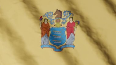 New Jersey eyaletinin bayrağı rüzgarda sallanıyor. Video görüntüleri.