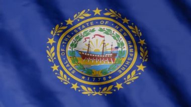 New Hampshire eyaletinin bayrağı rüzgarda sallanıyor. Video görüntüleri.