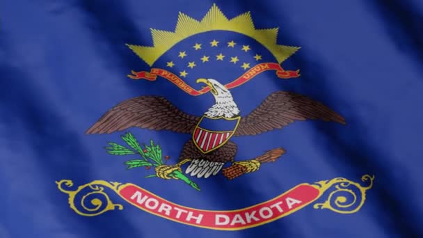 Flag State North Dakota Waving Wind Video Footage — Stok video