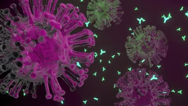 抗体はウイルスの細胞を攻撃します コロナウイルス — ストック動画