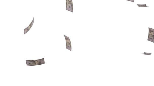 Доларів Сша Грошова Композиція Фінансове Походження Багато Банкнот Пучечок Грошей — стокове відео