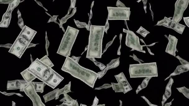 Des Billets 100 Dollars Tombent Billets Isolés Sur Fond Transparent — Video