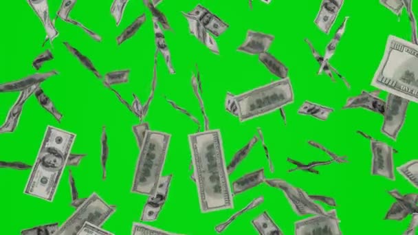 100ドル札が落ちてくる クロマキーの背景に隔離された銀行券 ジャックポットや宝くじ賞 — ストック動画
