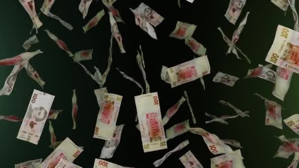 Viele Watten Geld Fallen Herunter 100 Ukrainische Griwna Banknoten Geldregen — Stockvideo