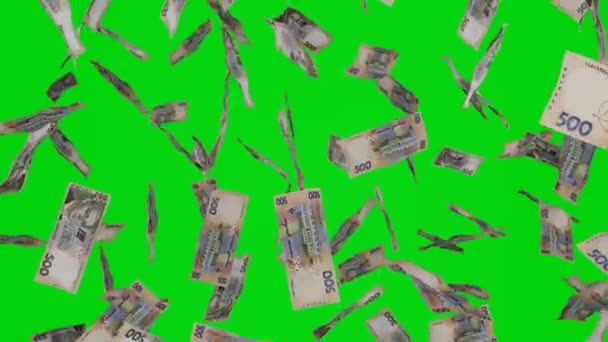 たくさんのお金が落ちてくる クロマキーを背景に500ウクライナの銀行券 金の雨だ 金融とビジネスの概念 ジャックポットまたは宝くじ賞 — ストック動画