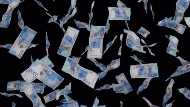 2000年俄罗斯卢布钞票掉了下来 在透明背景下隔离的钞票 中奖或彩票奖品 阿尔法通道 — 图库视频影像