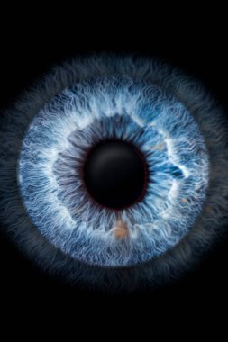 Mavi bir gözün irisinin yakın plan fotoğrafı (makro fotoğraf), arkaplan veya doku için idealdir