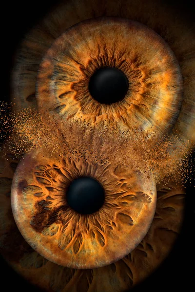 Dos Ojos Tomados Modo Macro Diferentes Personas Del Mismo Color —  Fotos de Stock