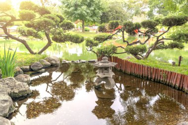 japanese style garden with japanese red pine (pinus desinflora)