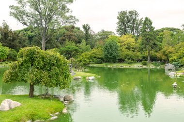 Japon tarzı parkın güzel panoramik manzarası