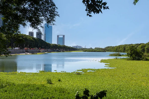Costanera Gölü, Ekolojik Rezerv, Buenos Aires, Arjantin