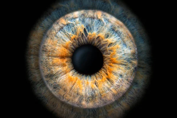 Nahaufnahme Makrofoto Der Iris Eines Zweifarbigen Auges Ideal Für Hintergrund — Stockfoto