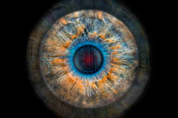 Human iris macro and hi-tech concept, human eye recognition scanning process.