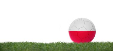 3 boyutlu illüstrasyon Polonya bayrağı taşıyan futbol topu, beyaz arkaplan ile kopyalama alanı.
