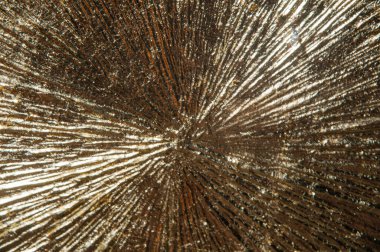 Radyasyonla buruşmuş altın madeni alanı, alev etkisi, kısa odak 