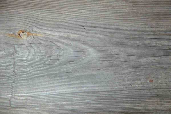 Grunge Background Sunburnt Whitened Wood Surface Close Cracks Dents Toning — Stock Photo, Image