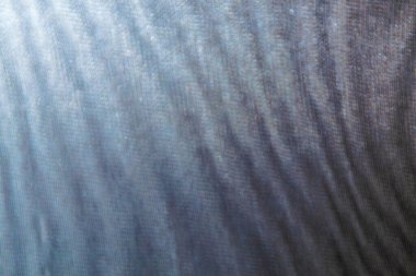 Odaklanmamış ince meş 'lerden soyut renkli bulanık dalgalı arkaplan