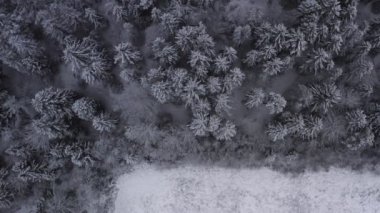 Aerial footage of winter landscape in a forrest.