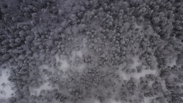 Aerial footage of winter landscape in a forrest. — Video