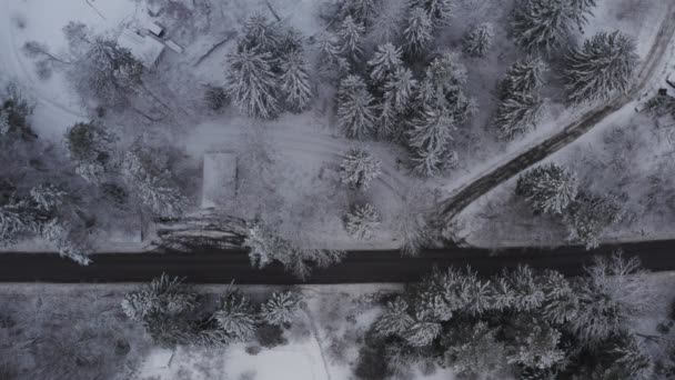 Road in a forrest during the winter season in Sweden — Videoclip de stoc