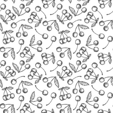 Beyaz arka planda izole edilmiş, kirazlı, monokrom çizimli el çizimi deseni. Tekstil ya da pazar örtüsü, afiş ve kumaş için tasarlandı. Botanik vektör illüstrasyonu.