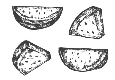 Vektör el çizimi karpuzu beyaz arkaplanda izole et. Çizim tarzında botanik illüstrasyon. Organik sağlıklı gıda veya pazar örtüsü, pankart, menü markası için tek renkli tasarım unsuru.