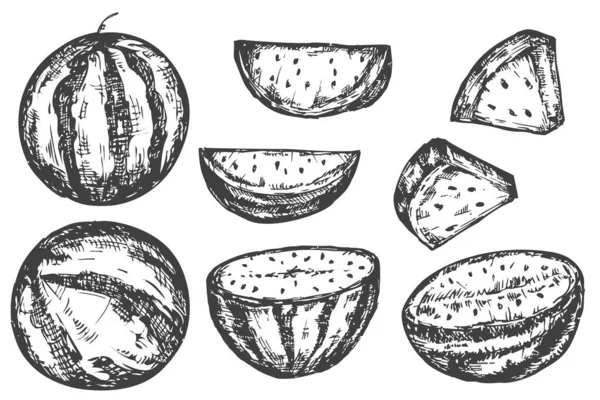 핸드는 배경에 수박을 그립니다 풍미적 스케치 방식이다 유기농 음식이나 메뉴를 — 스톡 벡터