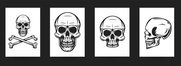 Set Hand Drawn Art Composition Skulls Monochrome Vintage Style Isolated — Image vectorielle