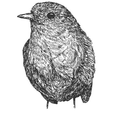 Kuş eli beyaz arka planda izole bir şekilde çizilmiş. Robot resim monokrom tarzında vektör ögesi. Klasik illüstrasyon.