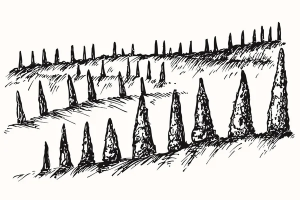 Hand Drawn Monochrome Landscape Cypress Trees Meadow Vintage Nature Environment — Stockvektor