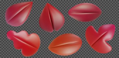 3D gerçekçi sonbahar yaprağını minimalist çizgi film tarzında çeşitli şekillere sokun. Şeffaf arkaplanda izole edilmiş modern tasarım unsurları koleksiyonu. Yumuşak plastik çocuk oyuncağı. Vektör sanatı illüstrasyonu.