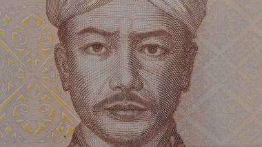 Büyük para birimi yüzü. Para faturasından ünlü insanların portreleri. Nakit para portreleri. Para birimi detayı. Dikey oryantasyon. Hareket animasyonunu durdur. Mali konsept.