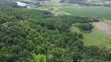 Yeşil doğa geçmişi. Panoramik manzara. Görüntüleri uçur.