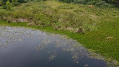 Göl kıyısı geçmişi. Yeşil nehir tarafı. Panoramik uçuş görüntüleri.