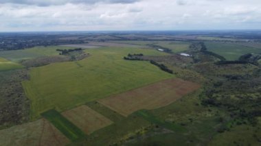 Yüksek irtifa videosu. Toprak doğası. Çevre sahnesi. Yeşil toprak dokusu. Panoramik görüntüler.